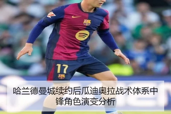 ha-lan-de-man-cheng-xu-yue-hou-gua-di-ao-la-zhan-shu-ti-xi-zhong-feng-jue-se-yan-bian-fen-xi-3-488.jpg